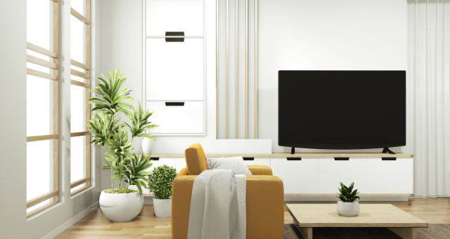 Standalone TV Units